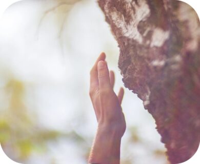 Connect with nature & healing